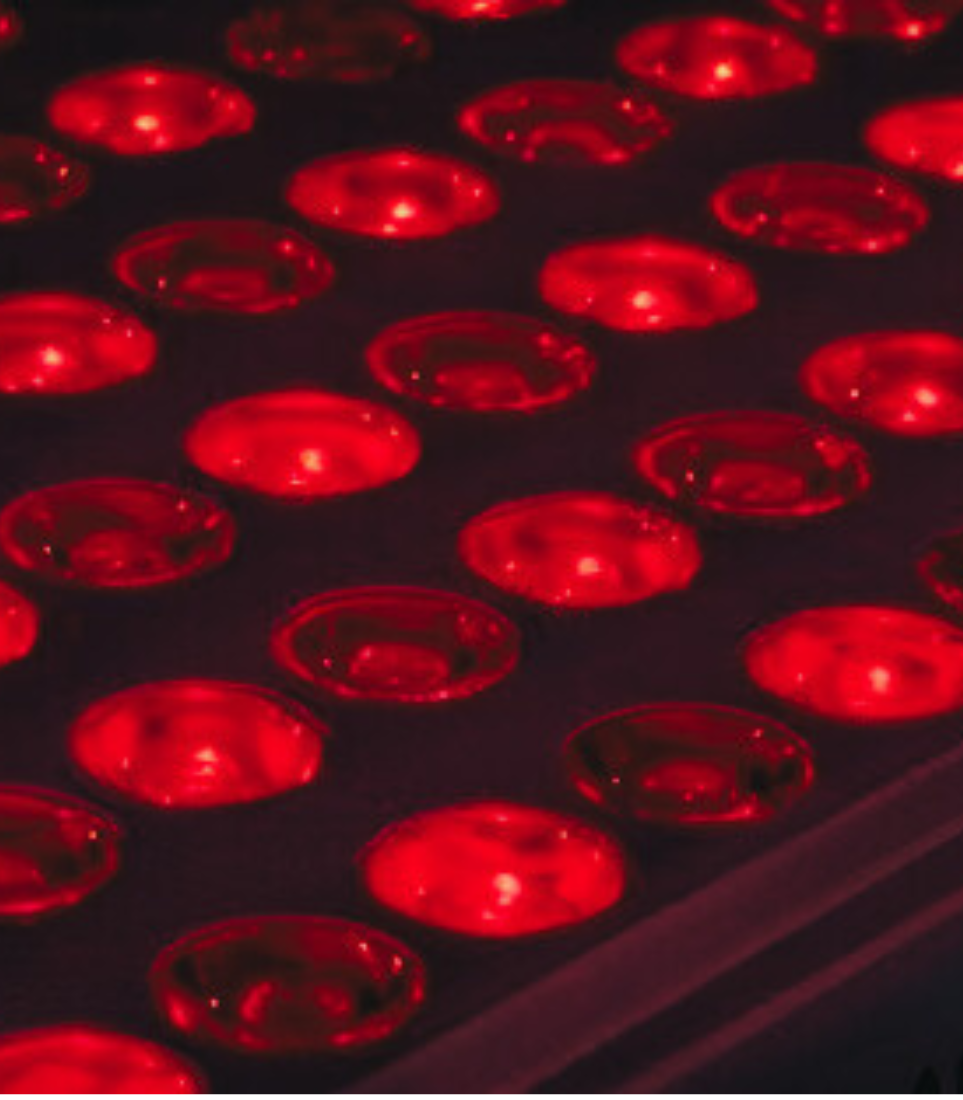 Red Light Therapy with NIR (Near-Infrared)